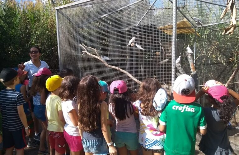 EDUCAÇÃO AMBIENTAL